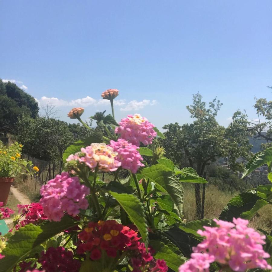 La Riggiola Bed & Breakfast Salerno Bagian luar foto