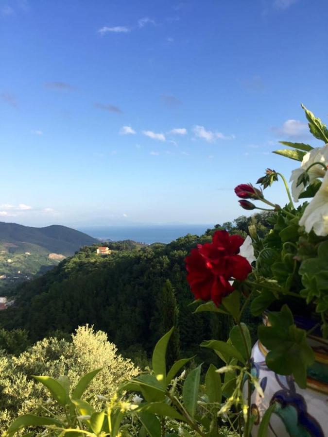 La Riggiola Bed & Breakfast Salerno Bagian luar foto