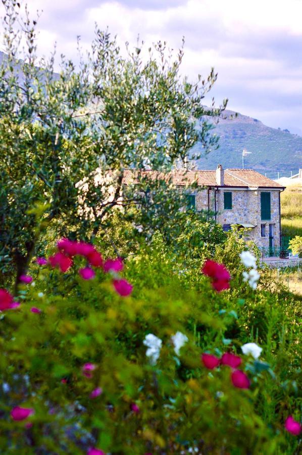 La Riggiola Bed & Breakfast Salerno Bagian luar foto