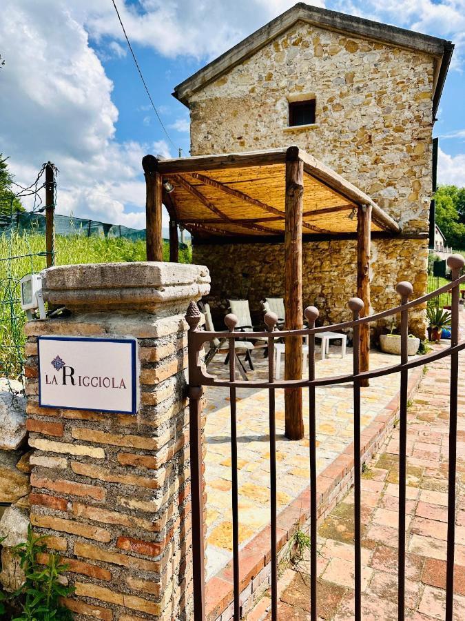 La Riggiola Bed & Breakfast Salerno Bagian luar foto